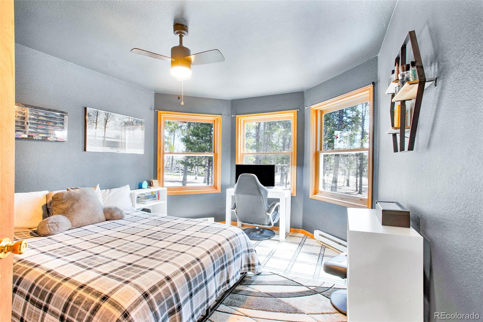 MLS Image #20 for 757  thompson park road,fairplay, Colorado