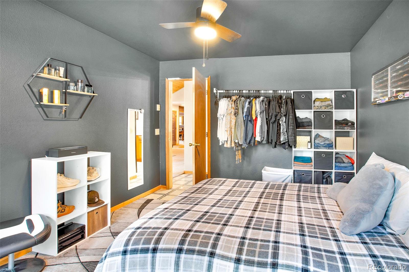 MLS Image #21 for 757  thompson park road,fairplay, Colorado