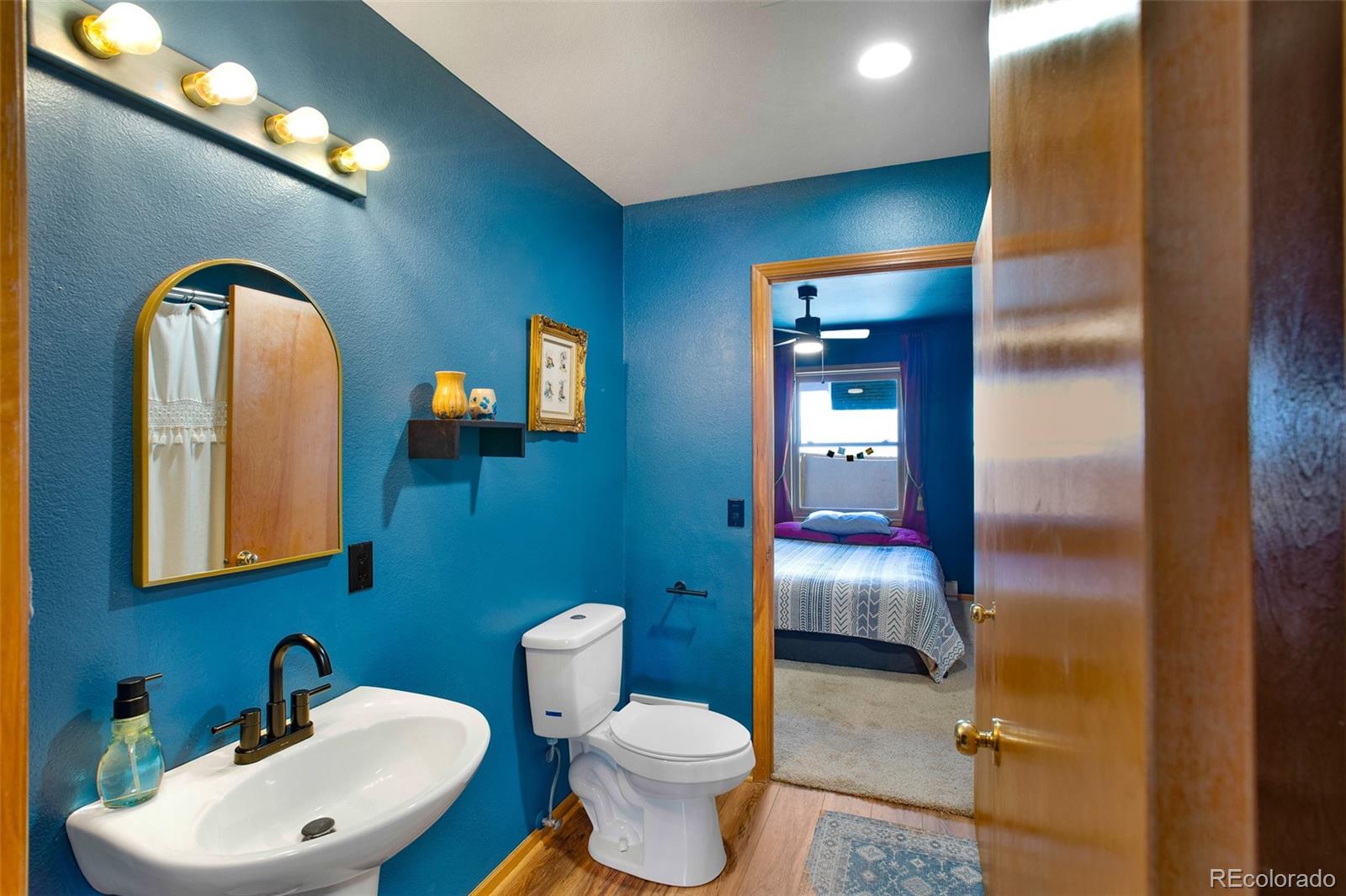 MLS Image #22 for 757  thompson park road,fairplay, Colorado