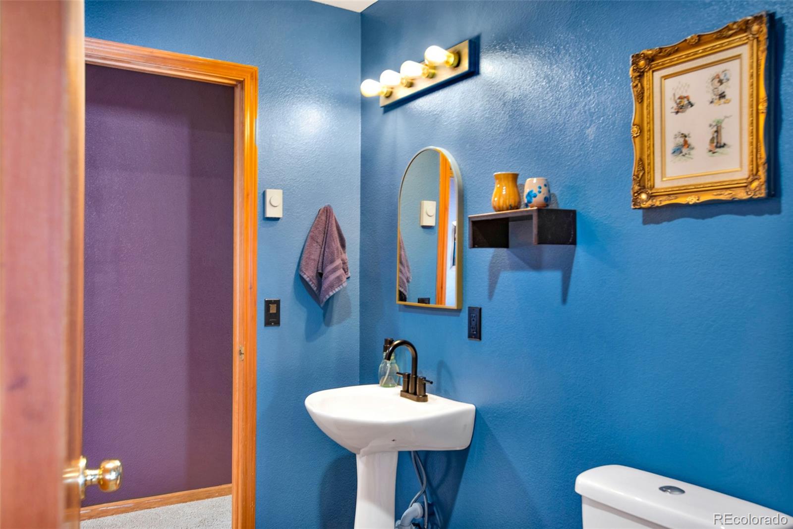 MLS Image #23 for 757  thompson park road,fairplay, Colorado