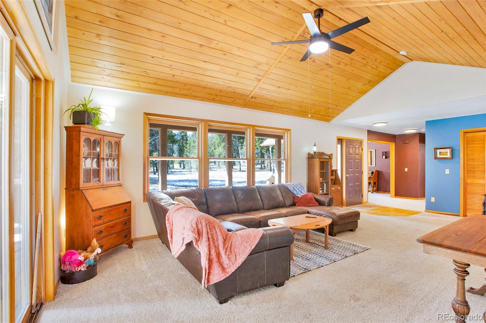 MLS Image #24 for 757  thompson park road,fairplay, Colorado
