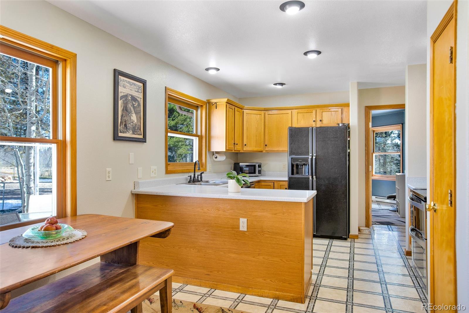 MLS Image #27 for 757  thompson park road,fairplay, Colorado