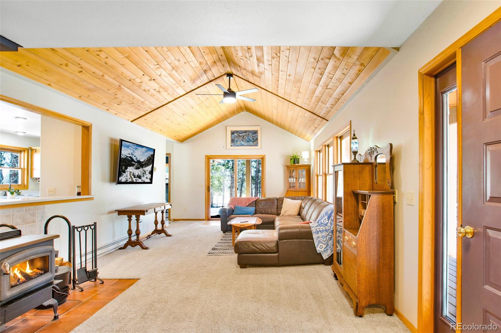 MLS Image #3 for 757  thompson park road,fairplay, Colorado