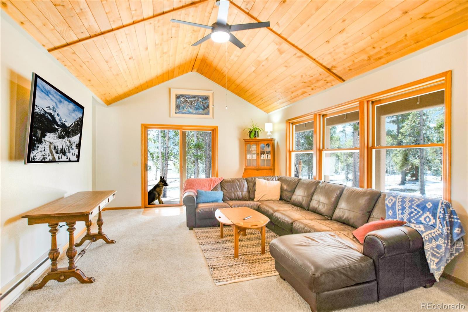 MLS Image #31 for 757  thompson park road,fairplay, Colorado