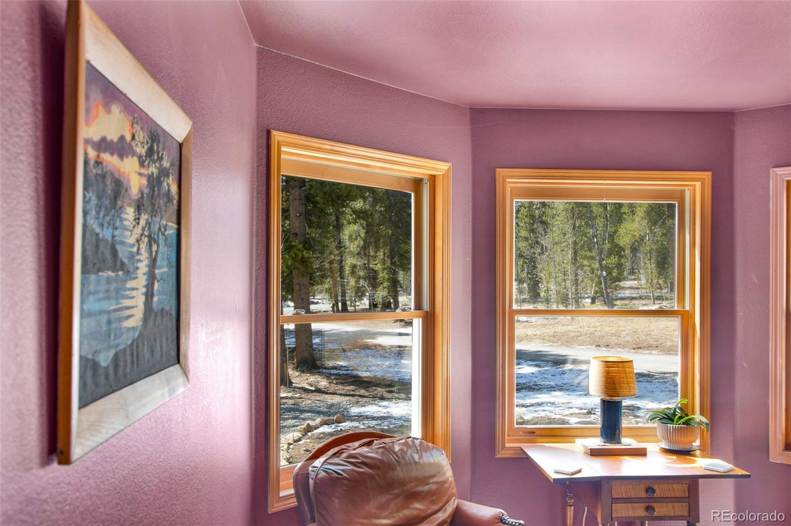 MLS Image #32 for 757  thompson park road,fairplay, Colorado