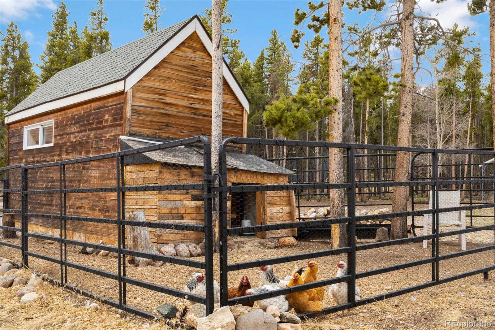 MLS Image #36 for 757  thompson park road,fairplay, Colorado