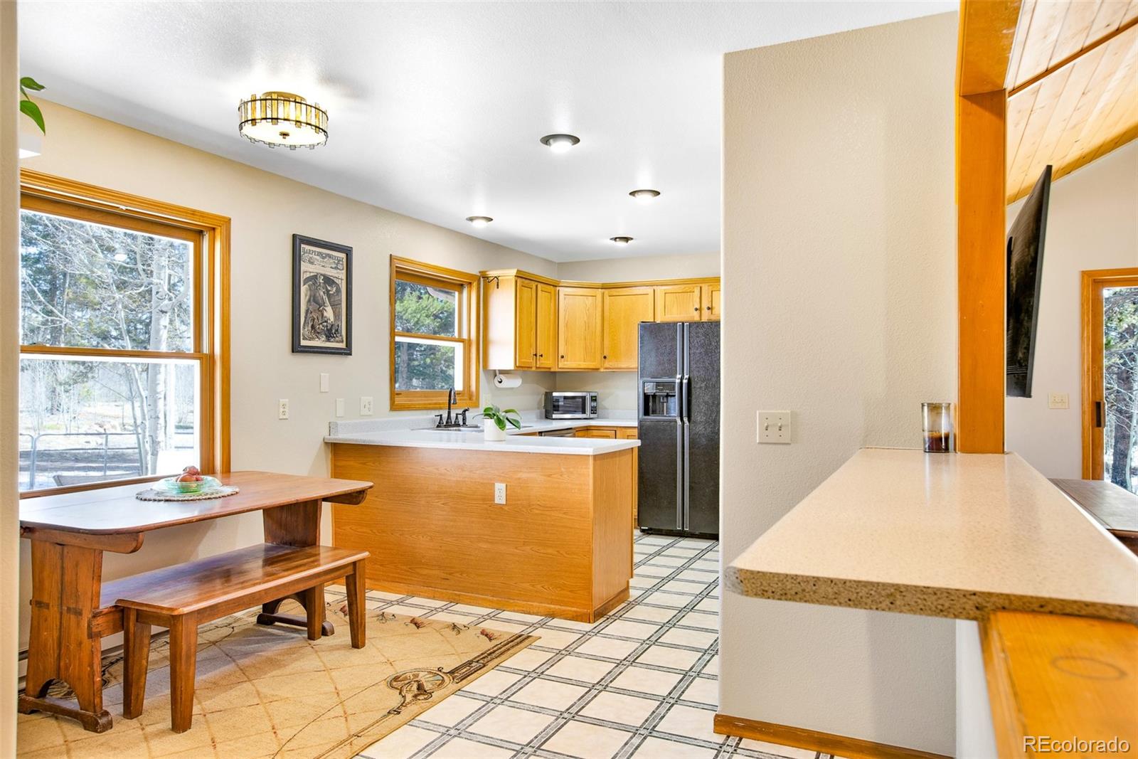 MLS Image #4 for 757  thompson park road,fairplay, Colorado
