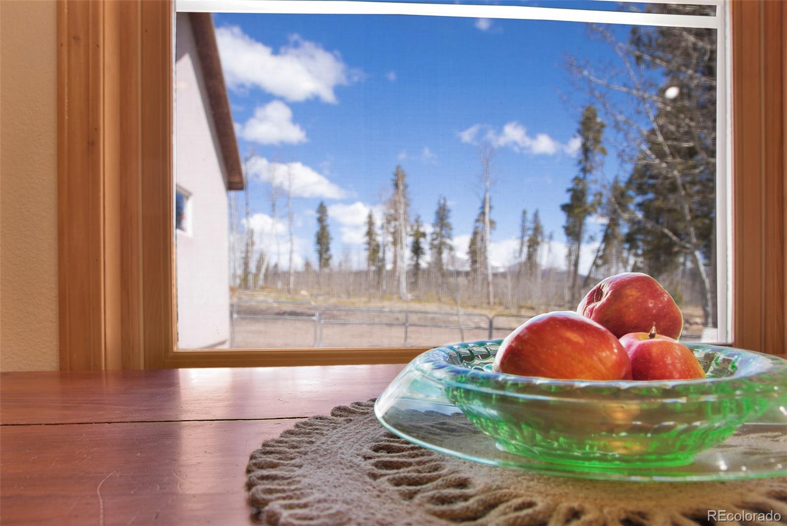 MLS Image #5 for 757  thompson park road,fairplay, Colorado