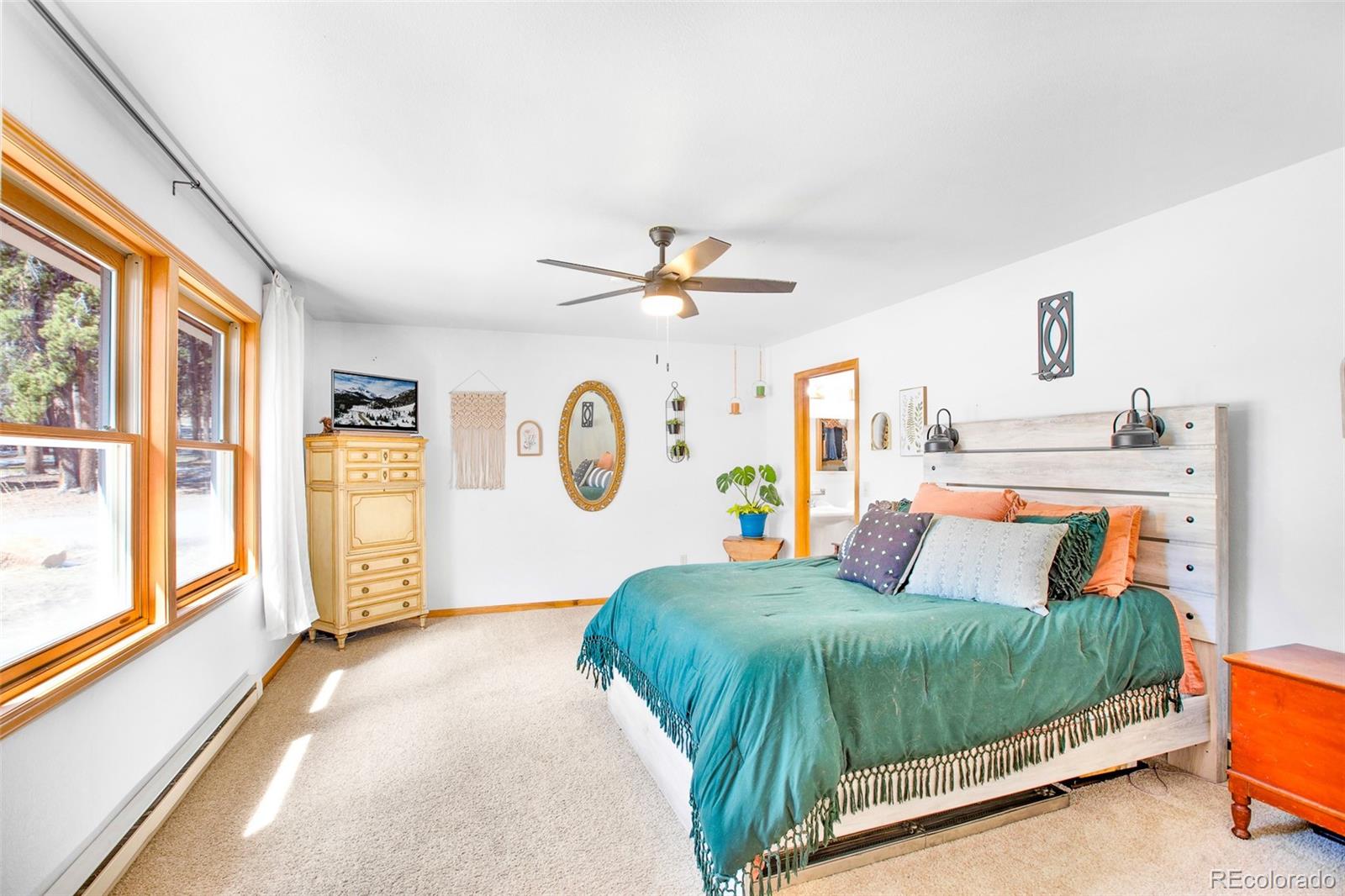 MLS Image #7 for 757  thompson park road,fairplay, Colorado