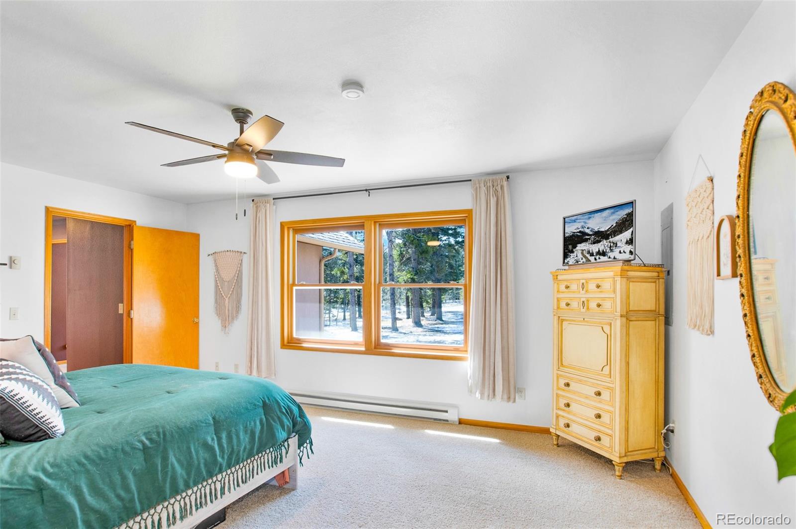 MLS Image #9 for 757  thompson park road,fairplay, Colorado