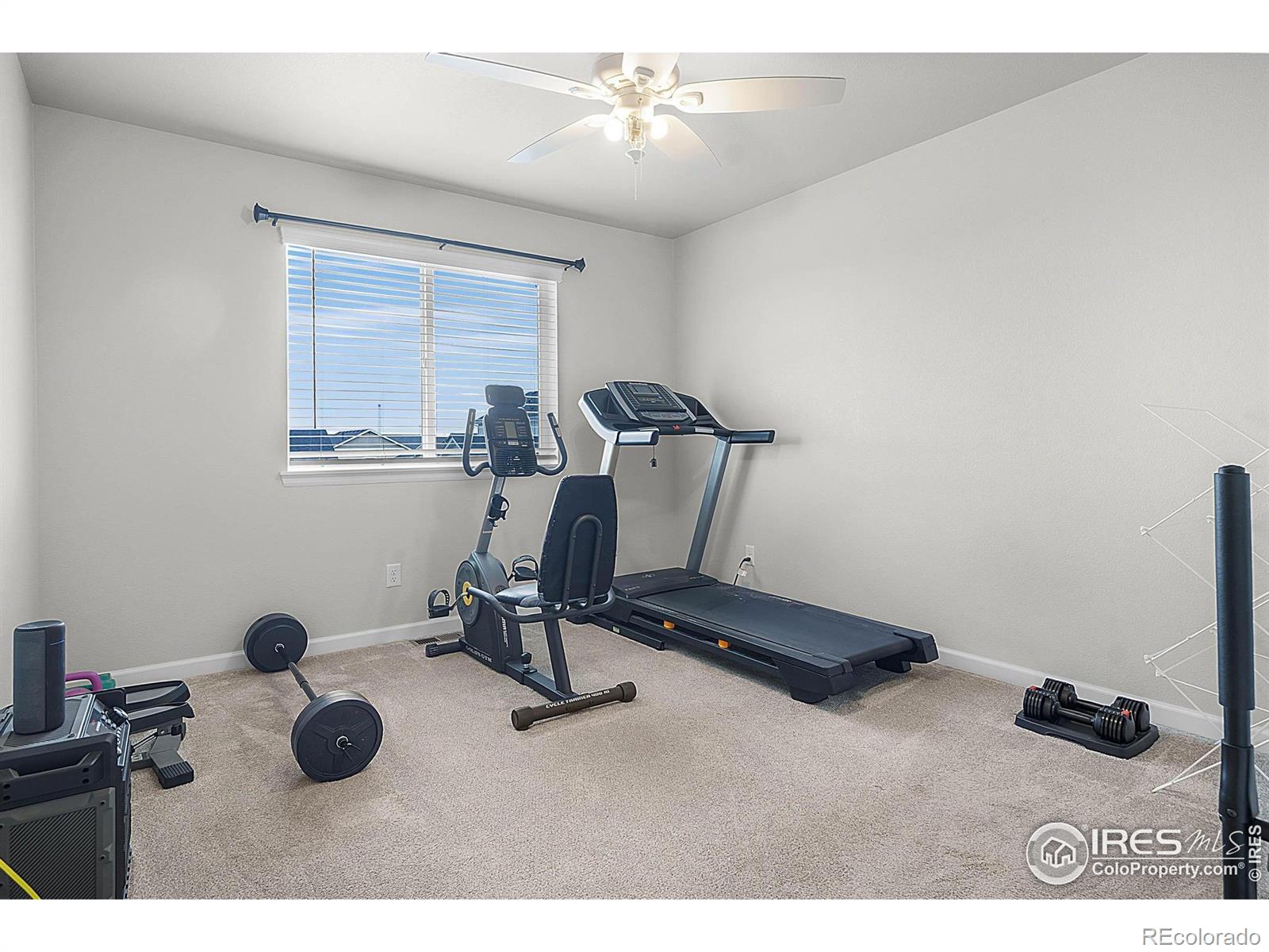 MLS Image #18 for 290  sutherland drive,windsor, Colorado