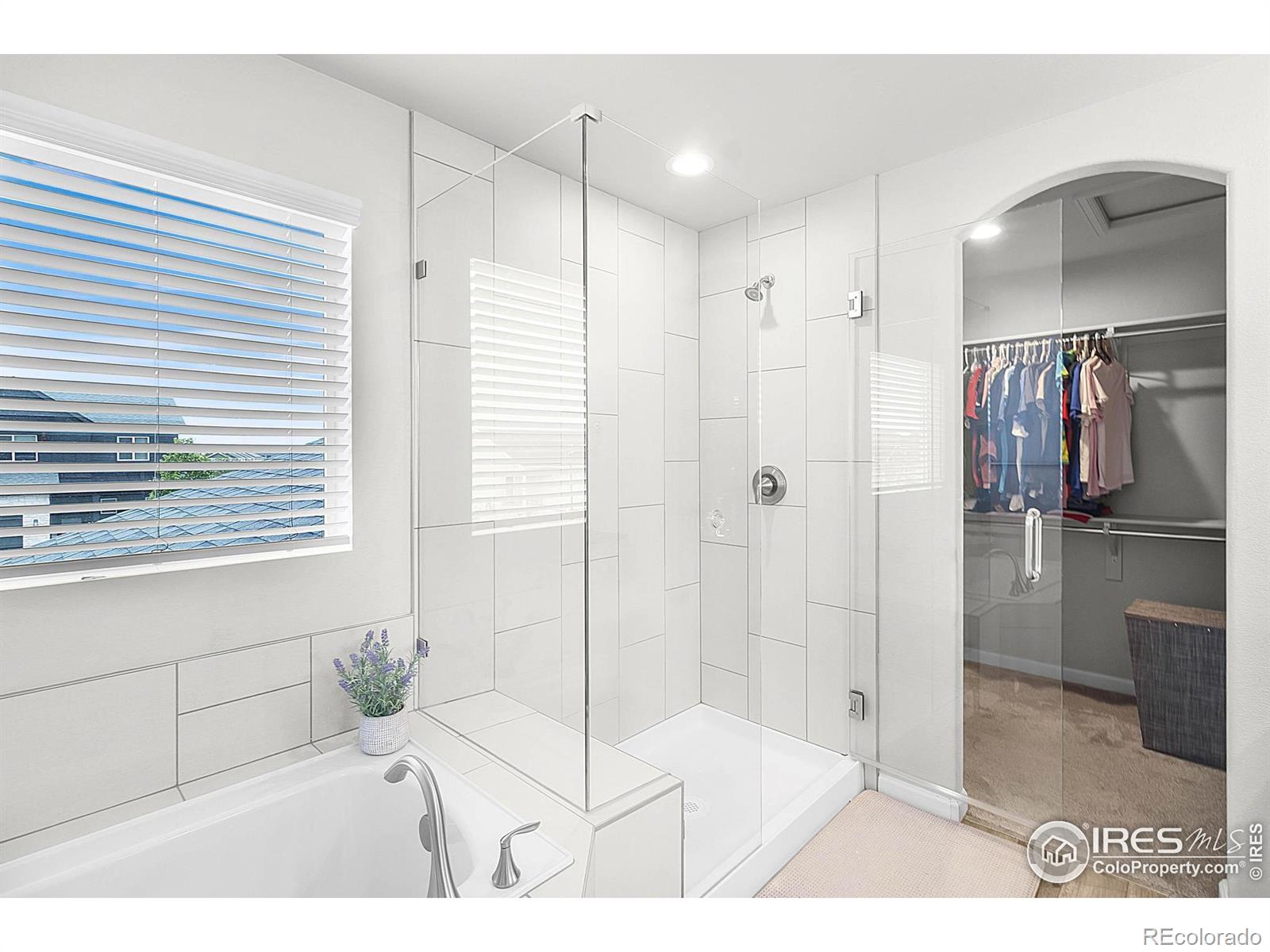 MLS Image #25 for 290  sutherland drive,windsor, Colorado