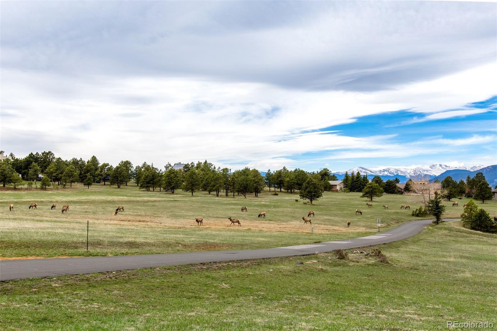 MLS Image #40 for 23655  currant drive,golden, Colorado