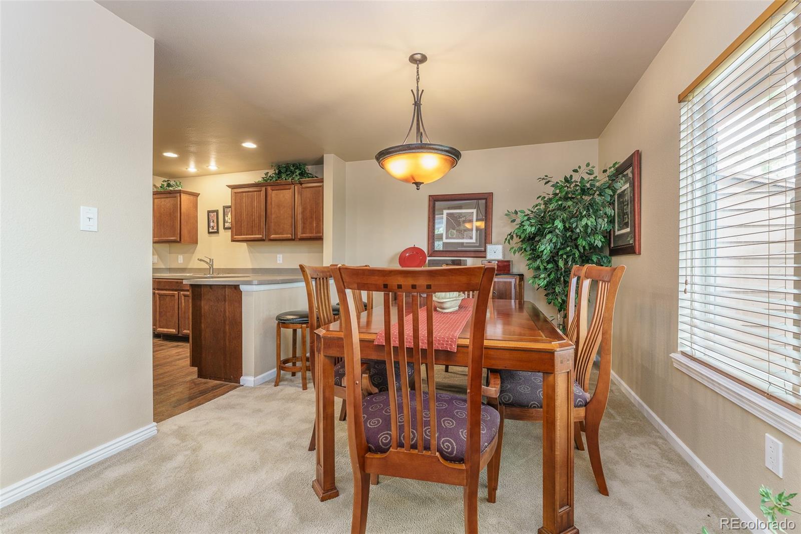 MLS Image #13 for 262  yank court,lakewood, Colorado