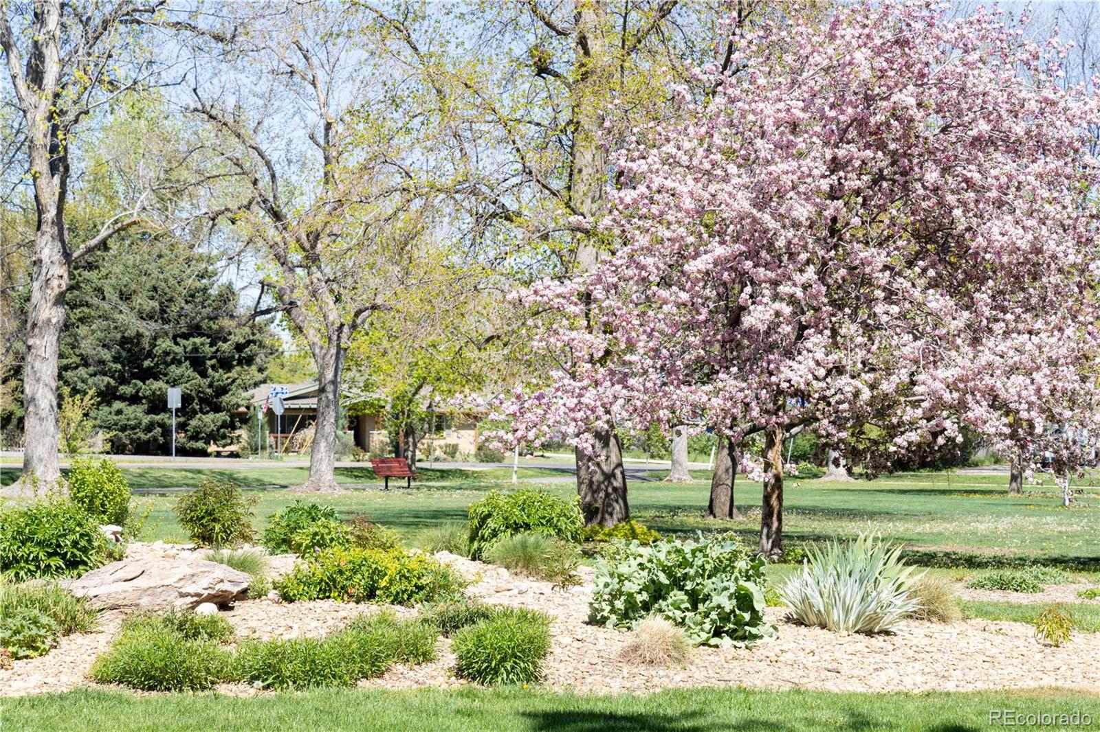 MLS Image #20 for 1021  carr street,lakewood, Colorado