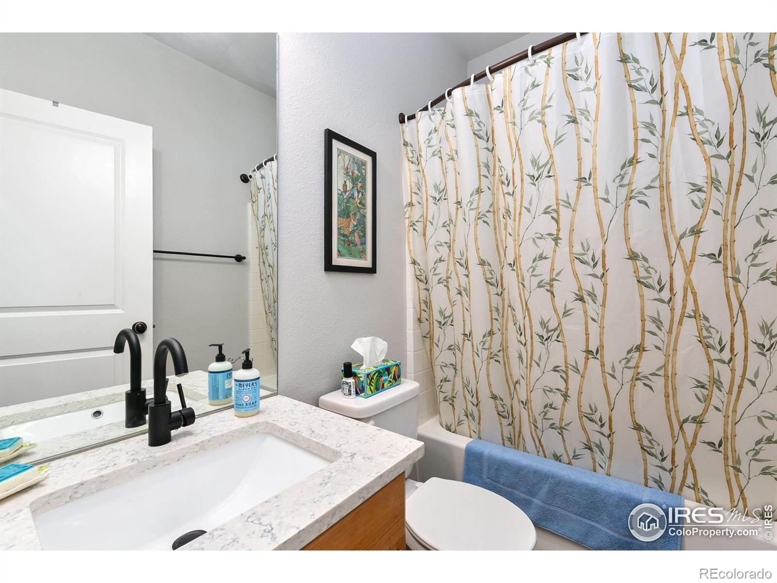 MLS Image #10 for 3813  ginkgo street,wellington, Colorado