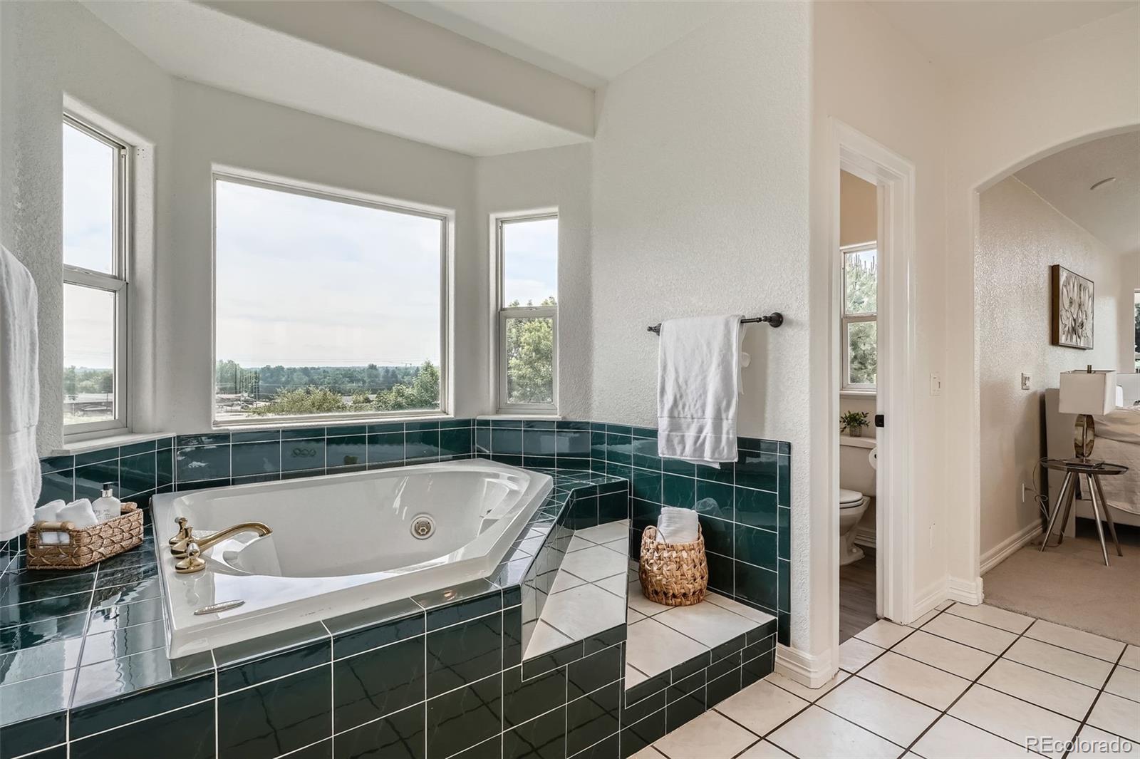 MLS Image #17 for 6335  oberon road,arvada, Colorado