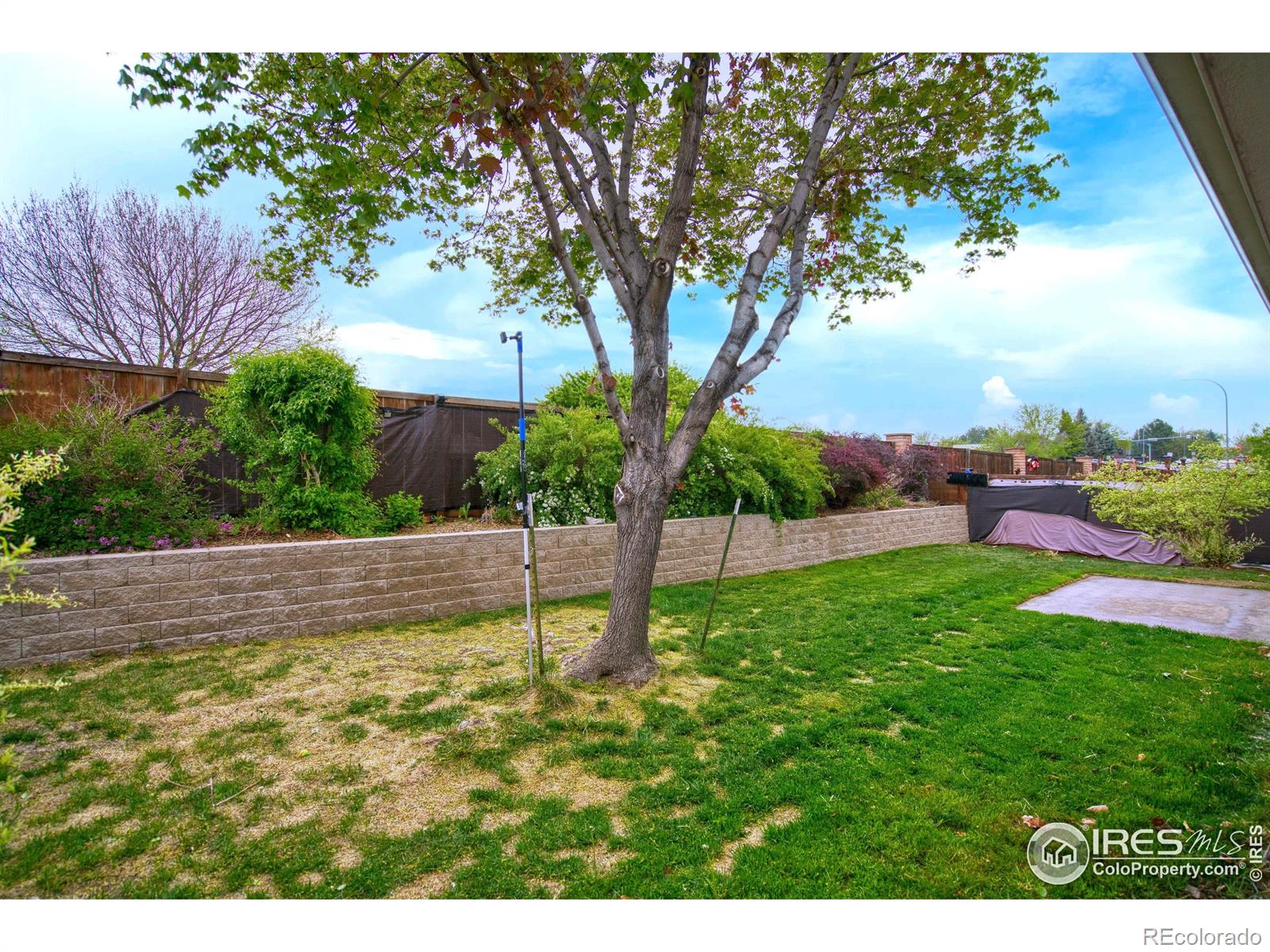 MLS Image #20 for 5308 w 11th street,greeley, Colorado