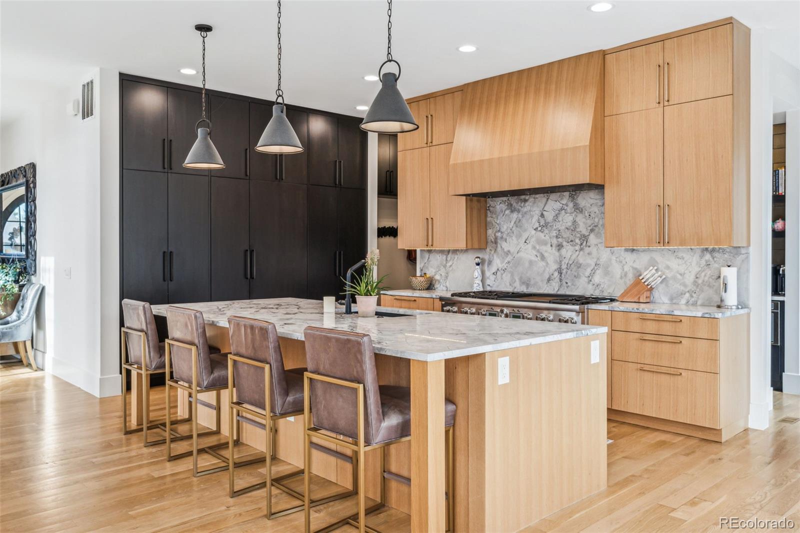 MLS Image #10 for 200  magnolia street,denver, Colorado