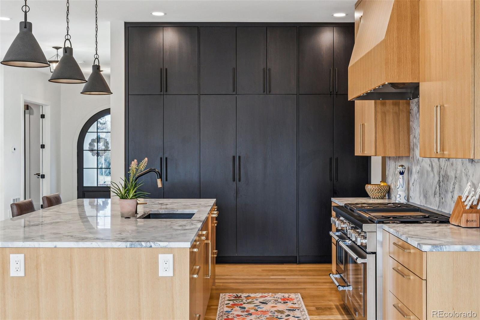 MLS Image #11 for 200  magnolia street,denver, Colorado