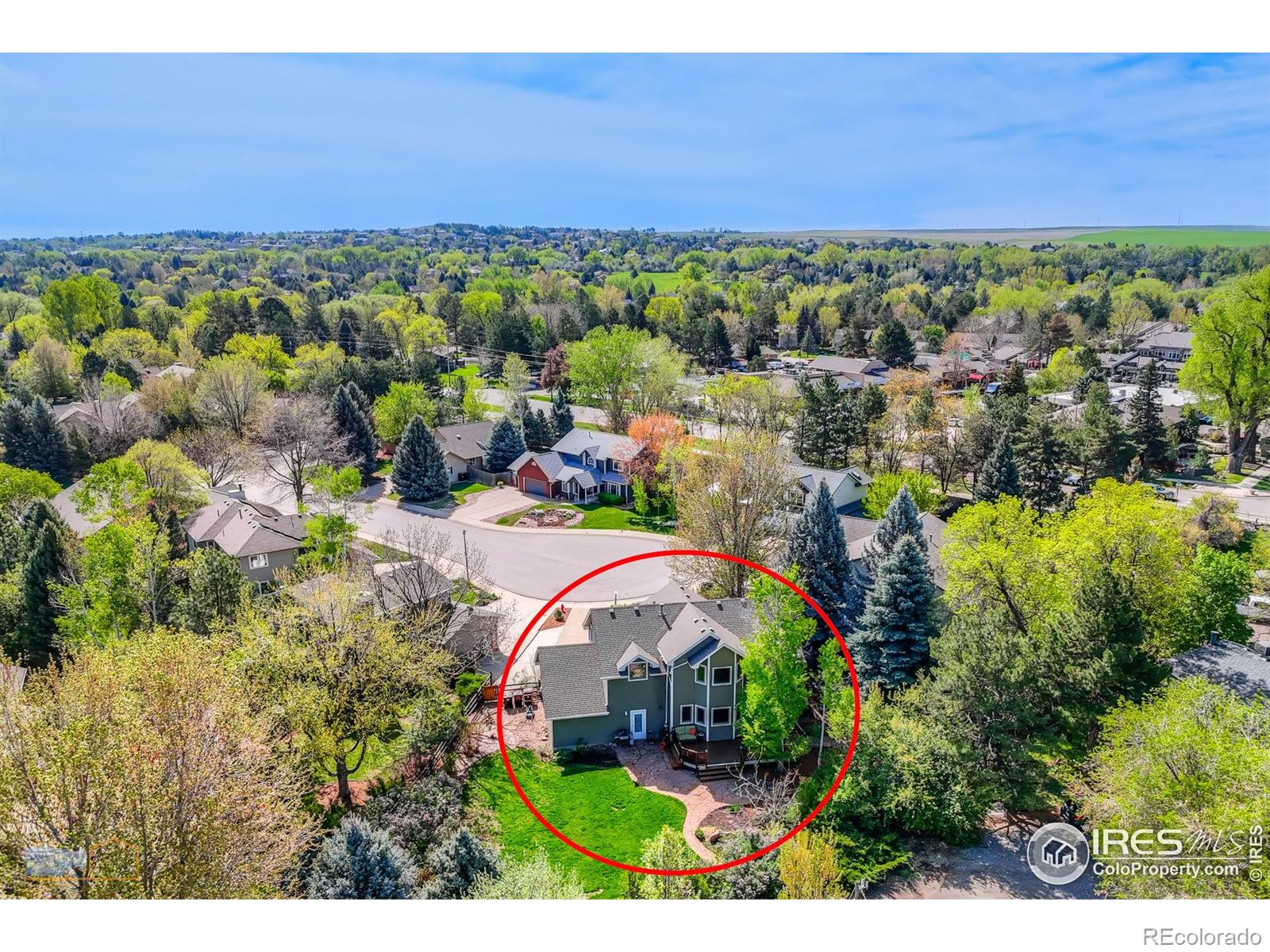 MLS Image #18 for 7905  wellshire court,niwot, Colorado