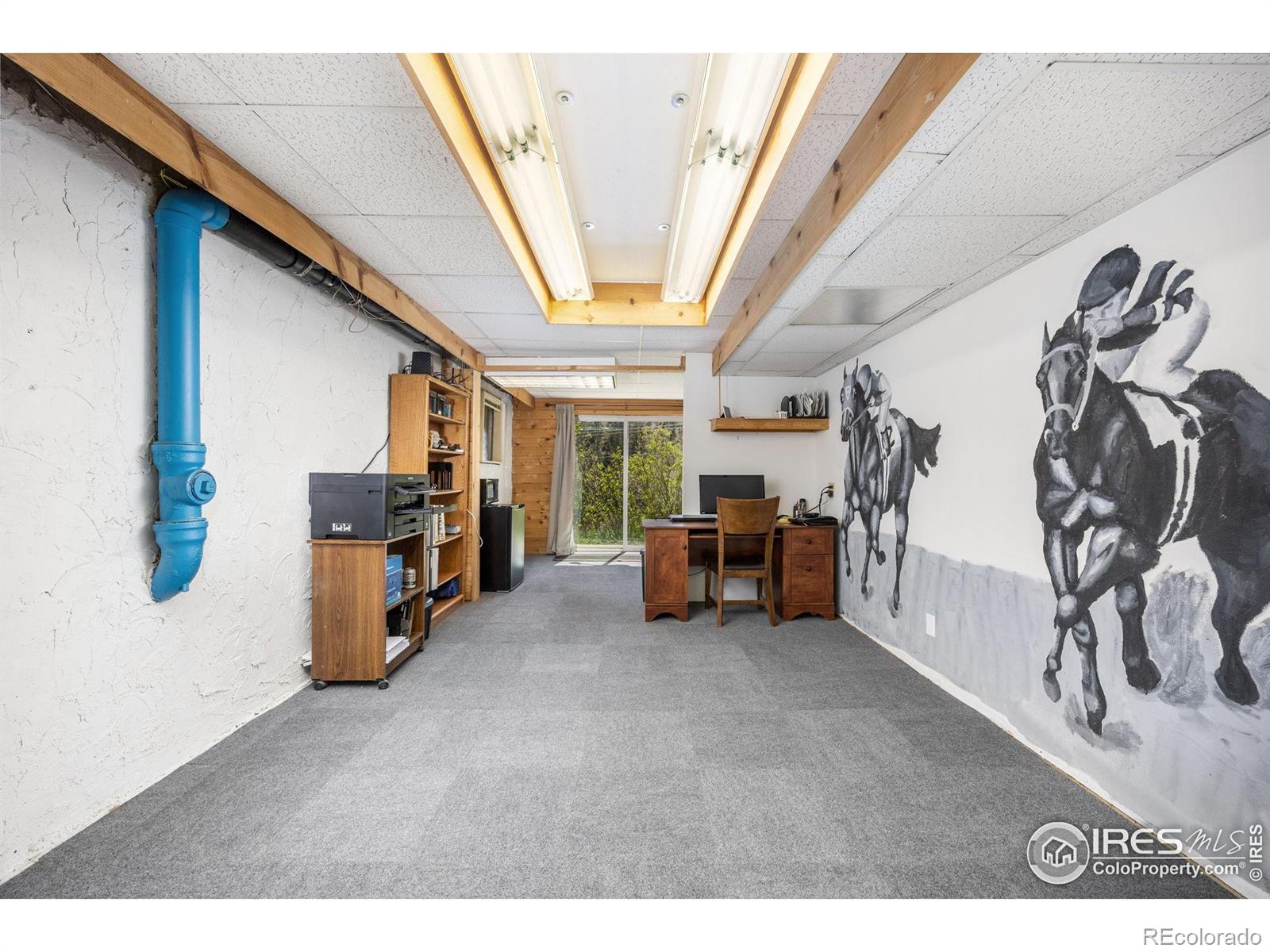 MLS Image #26 for 20232  buckhorn road,bellvue, Colorado