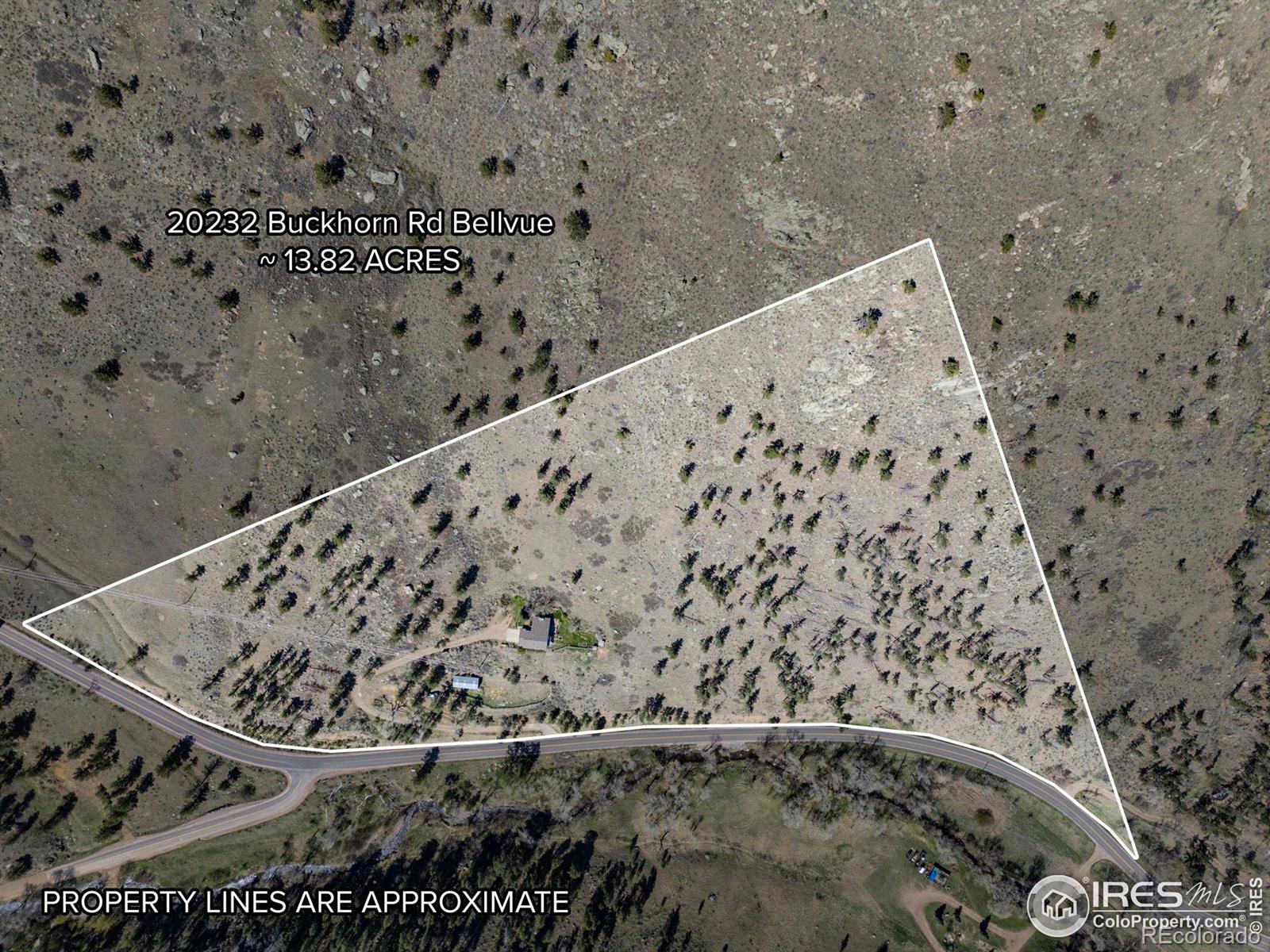 MLS Image #3 for 20232  buckhorn road,bellvue, Colorado