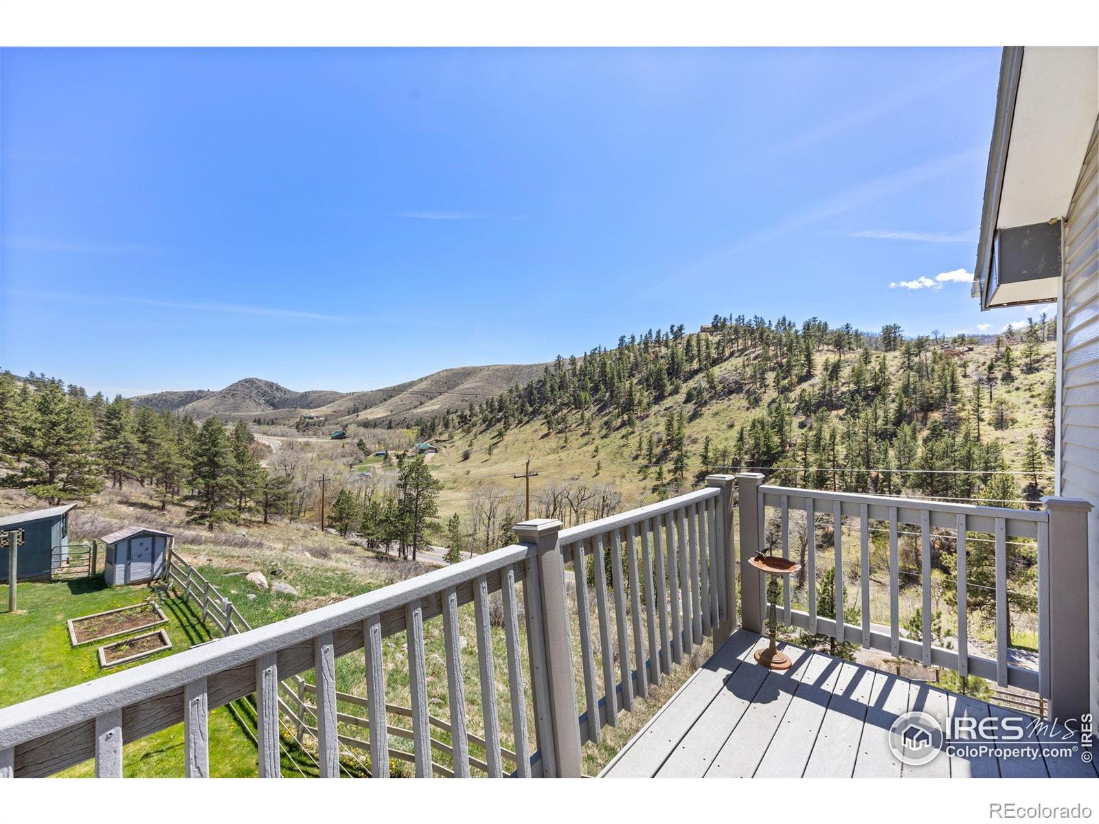 MLS Image #6 for 20232  buckhorn road,bellvue, Colorado