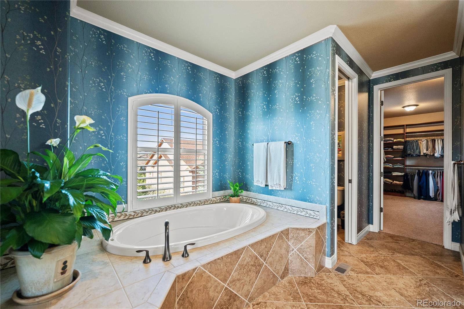 MLS Image #32 for 12477  creekhurst drive,colorado springs, Colorado