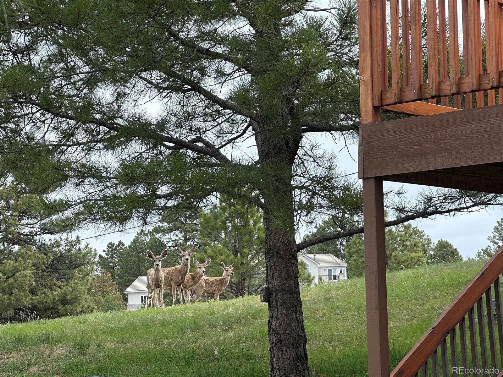 MLS Image #45 for 11035 e parker road,parker, Colorado