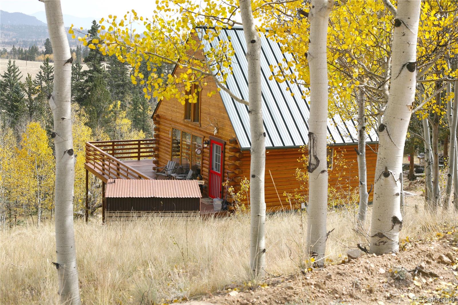 MLS Image #17 for 179  mountain vista,como, Colorado