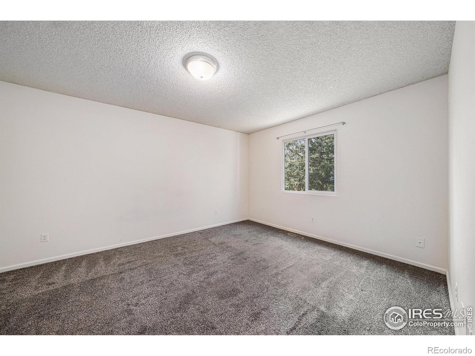 MLS Image #15 for 1203  cascade court,fort collins, Colorado