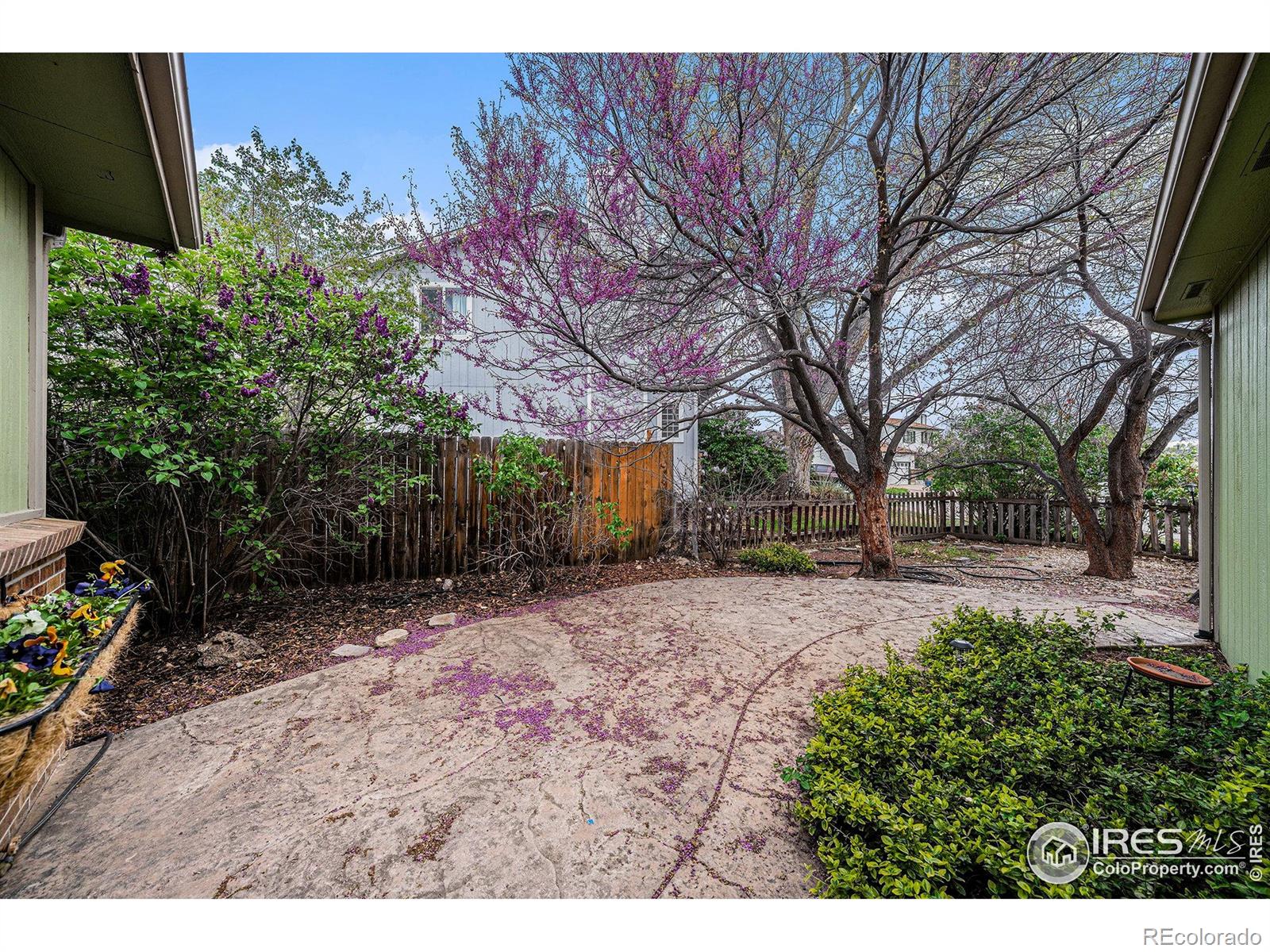 MLS Image #2 for 1203  cascade court,fort collins, Colorado