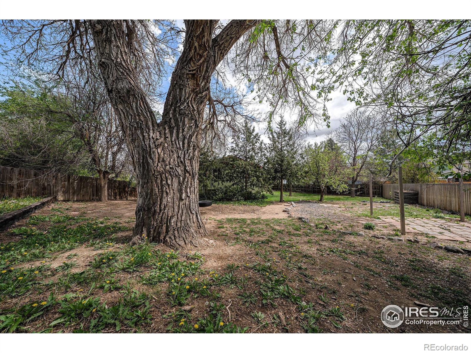 MLS Image #27 for 1203  cascade court,fort collins, Colorado