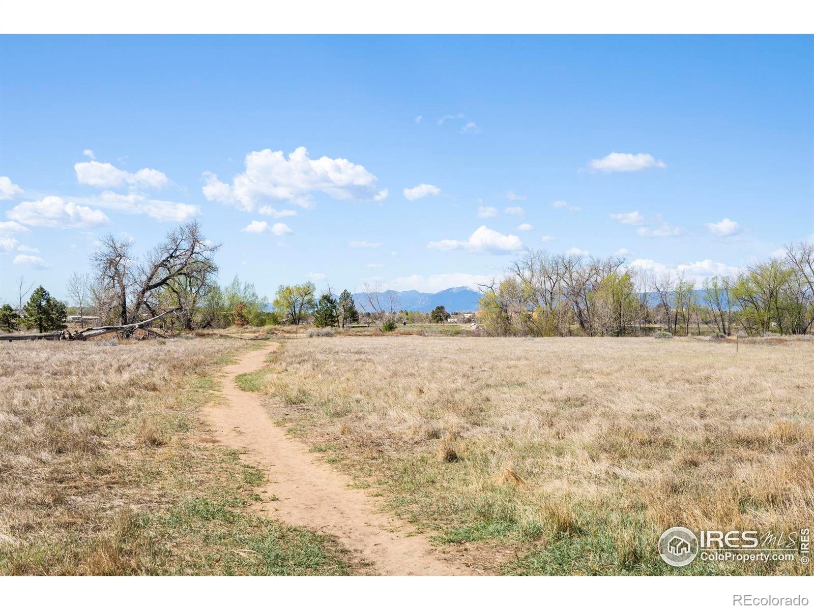MLS Image #22 for 1920  donovan drive,longmont, Colorado