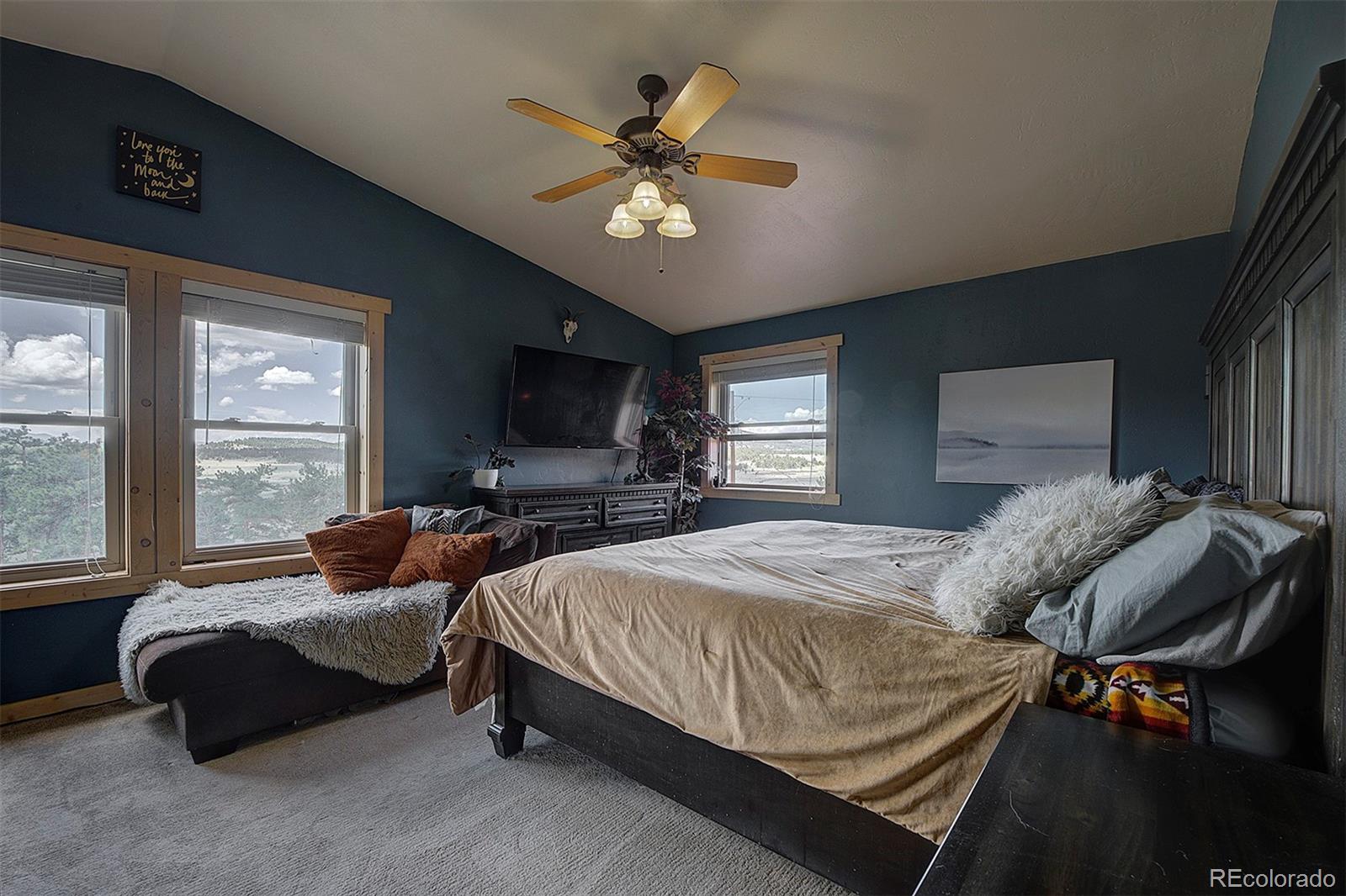 MLS Image #16 for 641  old kathleen trail,guffey, Colorado
