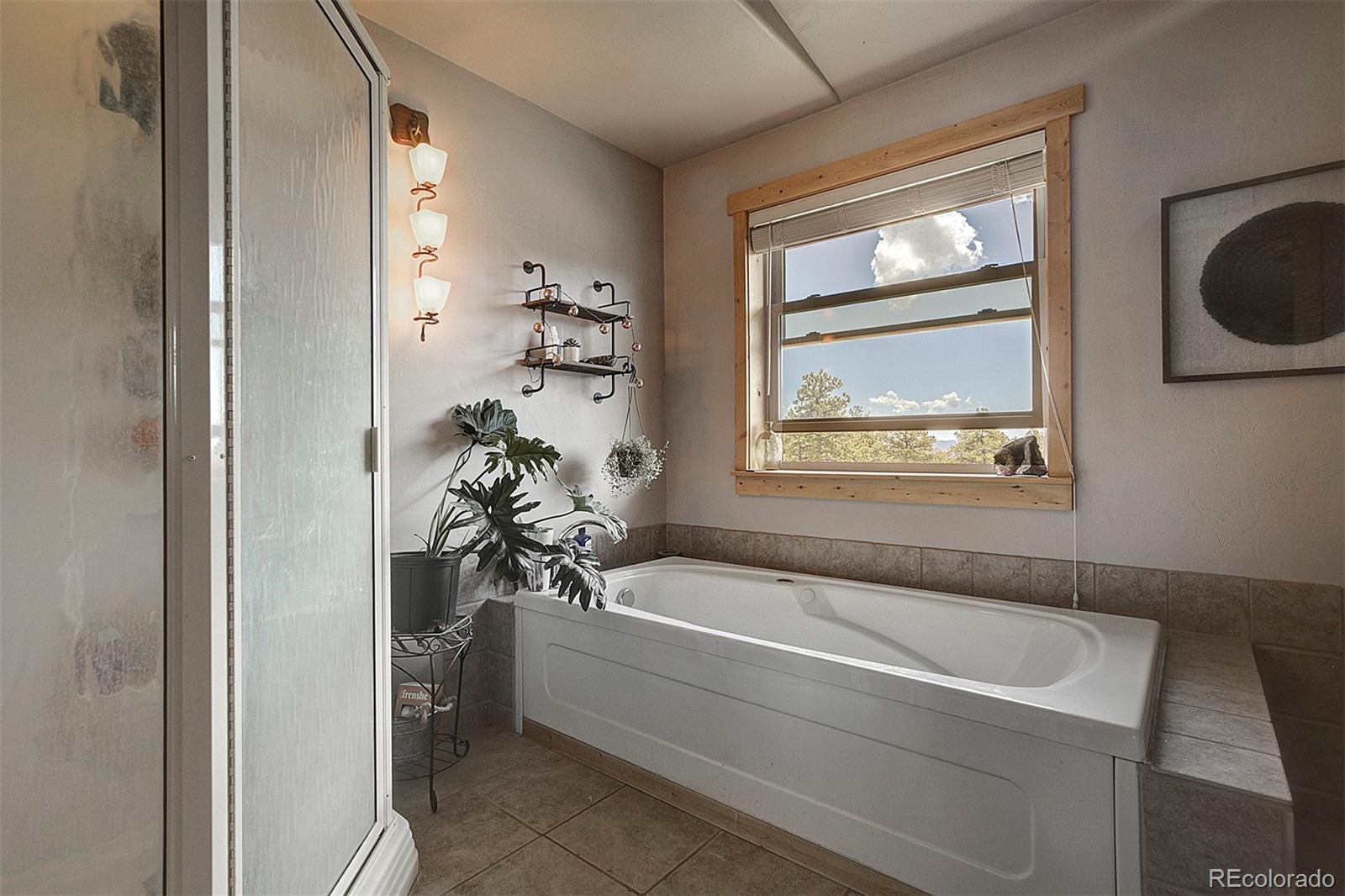 MLS Image #18 for 641  old kathleen trail,guffey, Colorado