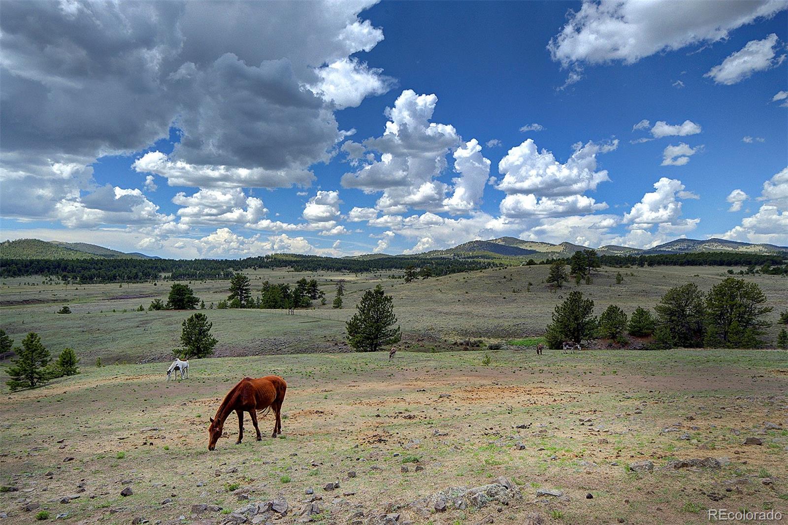 MLS Image #2 for 641  old kathleen trail,guffey, Colorado