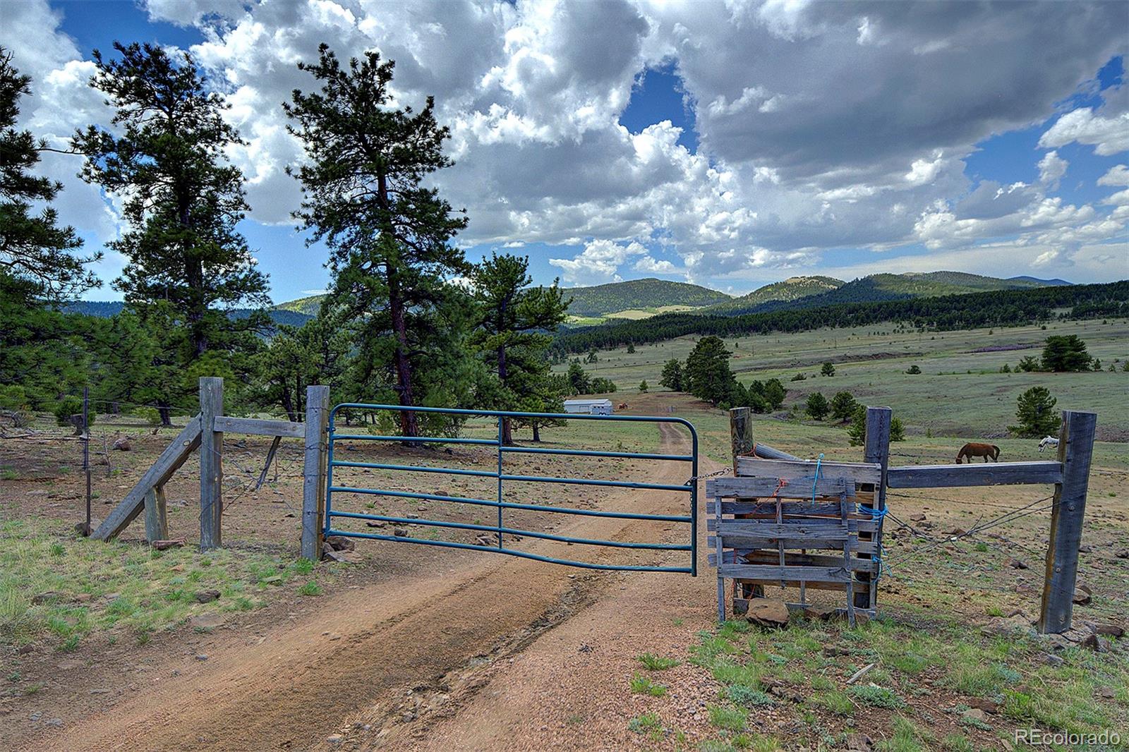 MLS Image #29 for 641  old kathleen trail,guffey, Colorado