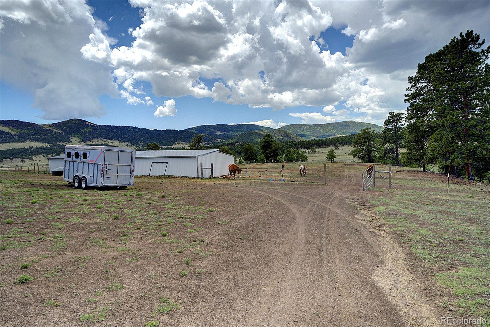 MLS Image #30 for 641  old kathleen trail,guffey, Colorado