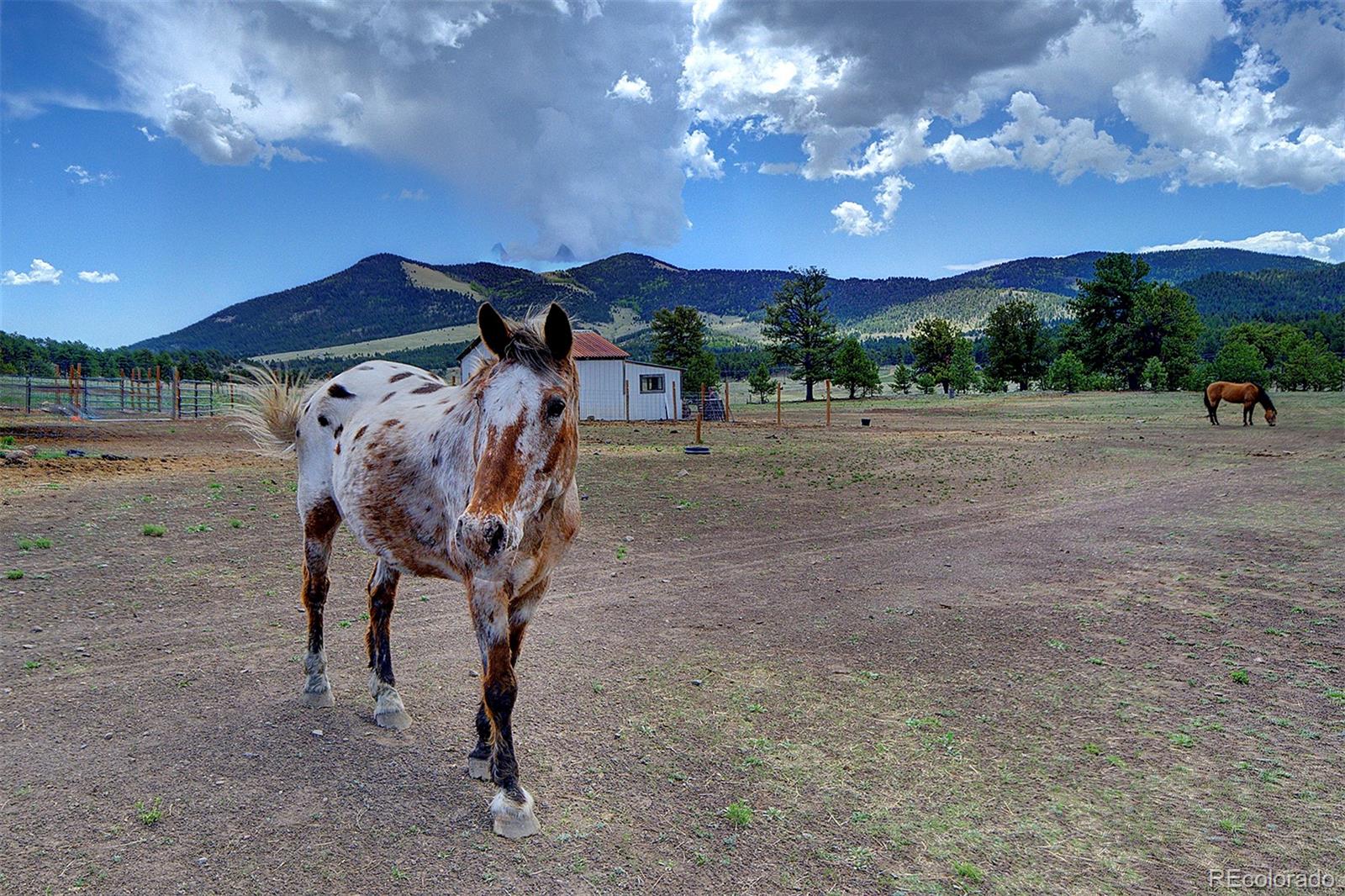 MLS Image #31 for 641  old kathleen trail,guffey, Colorado
