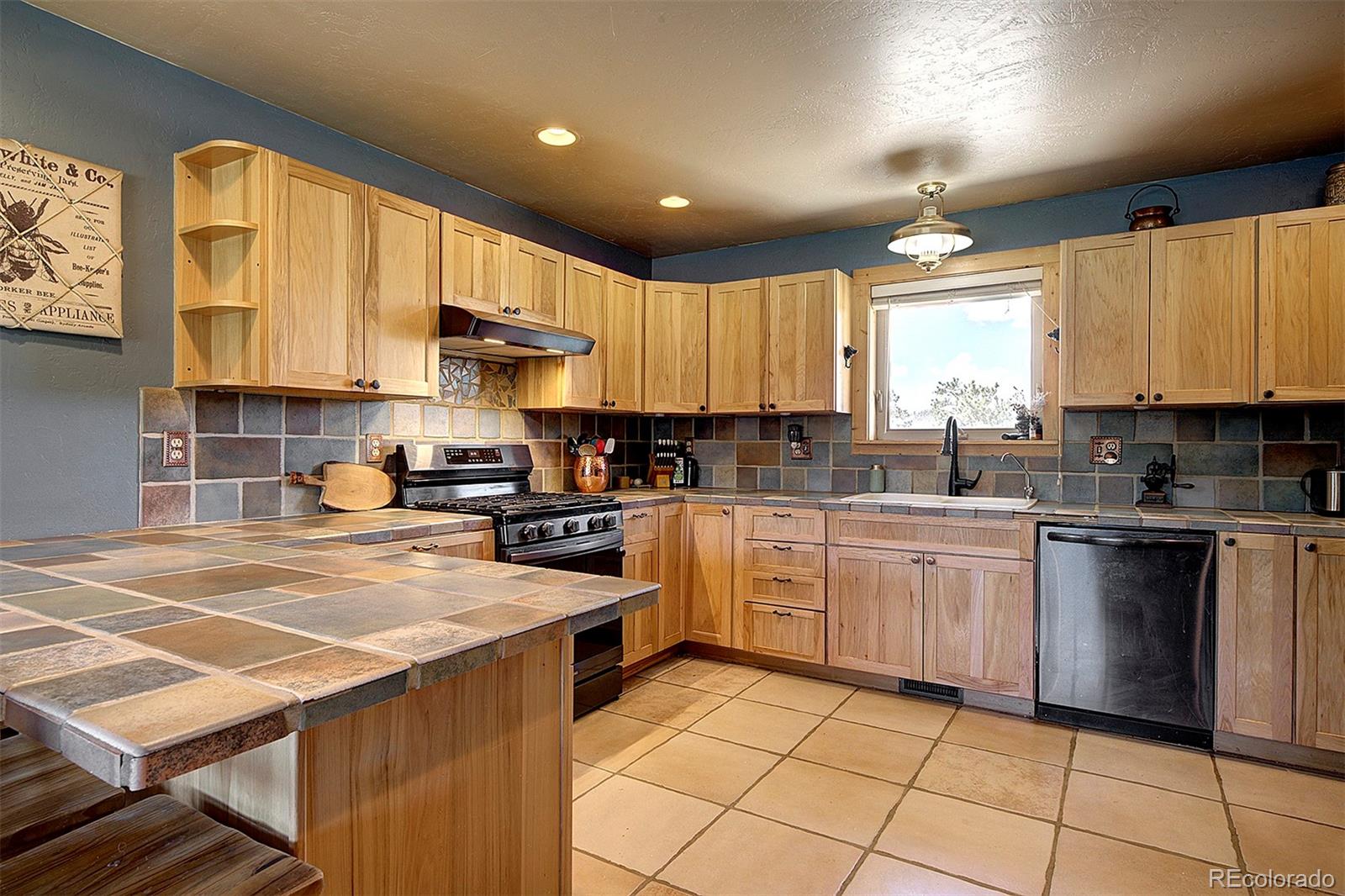 MLS Image #4 for 641  old kathleen trail,guffey, Colorado