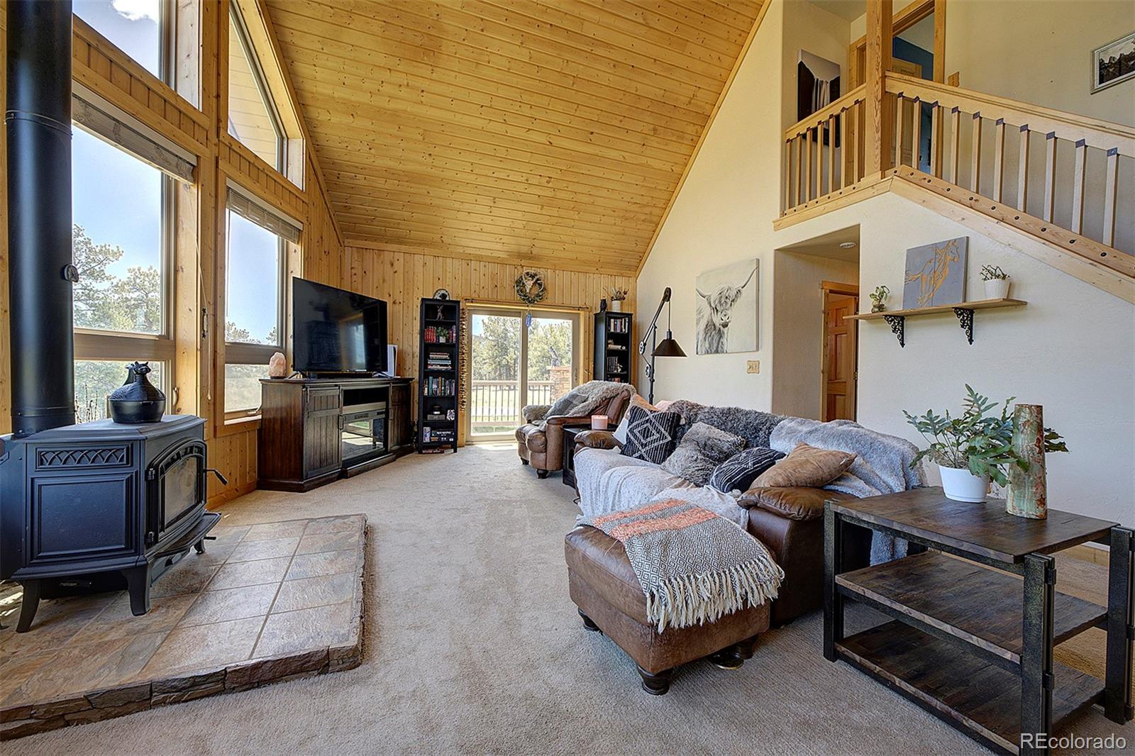 MLS Image #6 for 641  old kathleen trail,guffey, Colorado