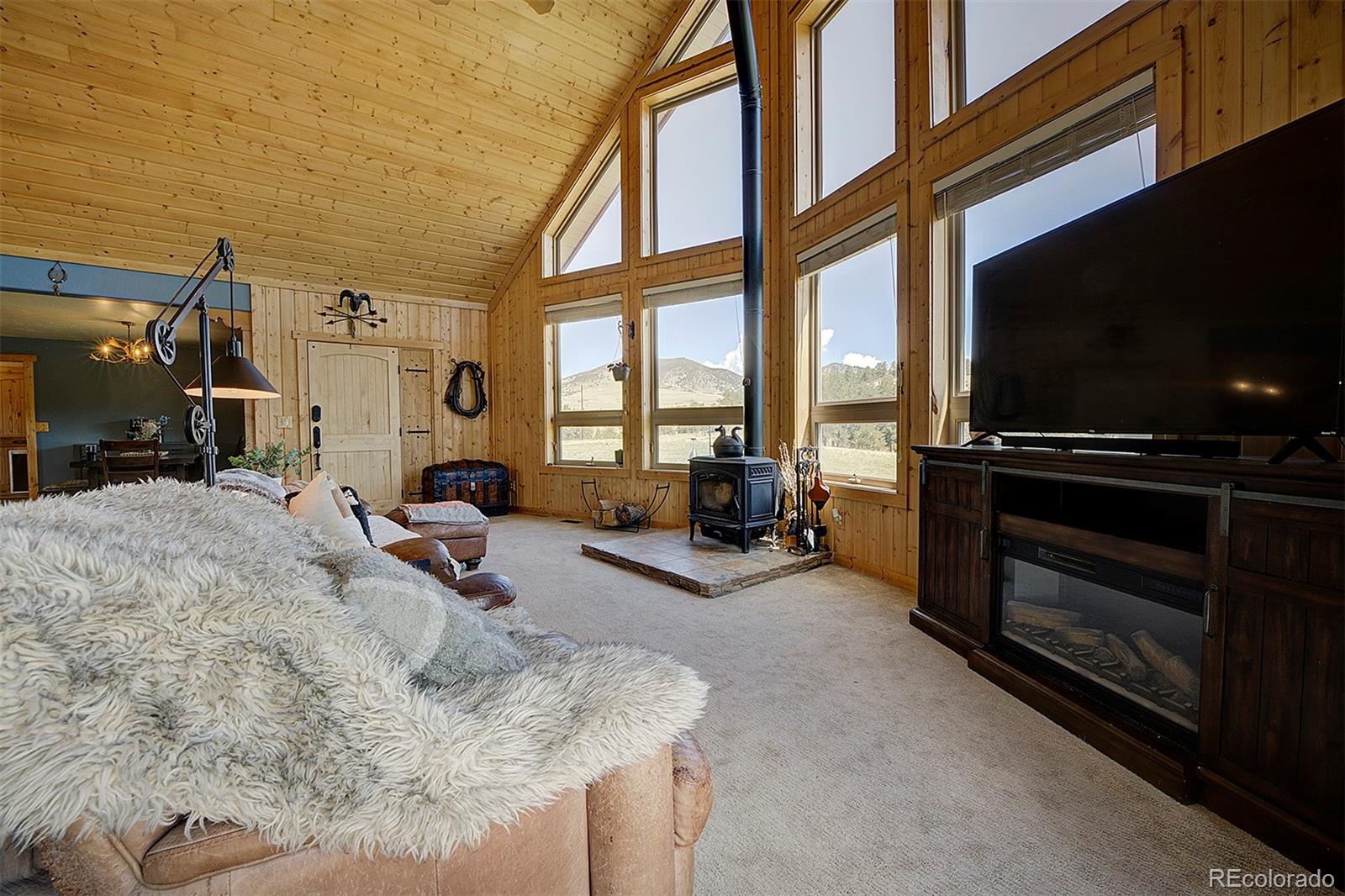 MLS Image #7 for 641  old kathleen trail,guffey, Colorado
