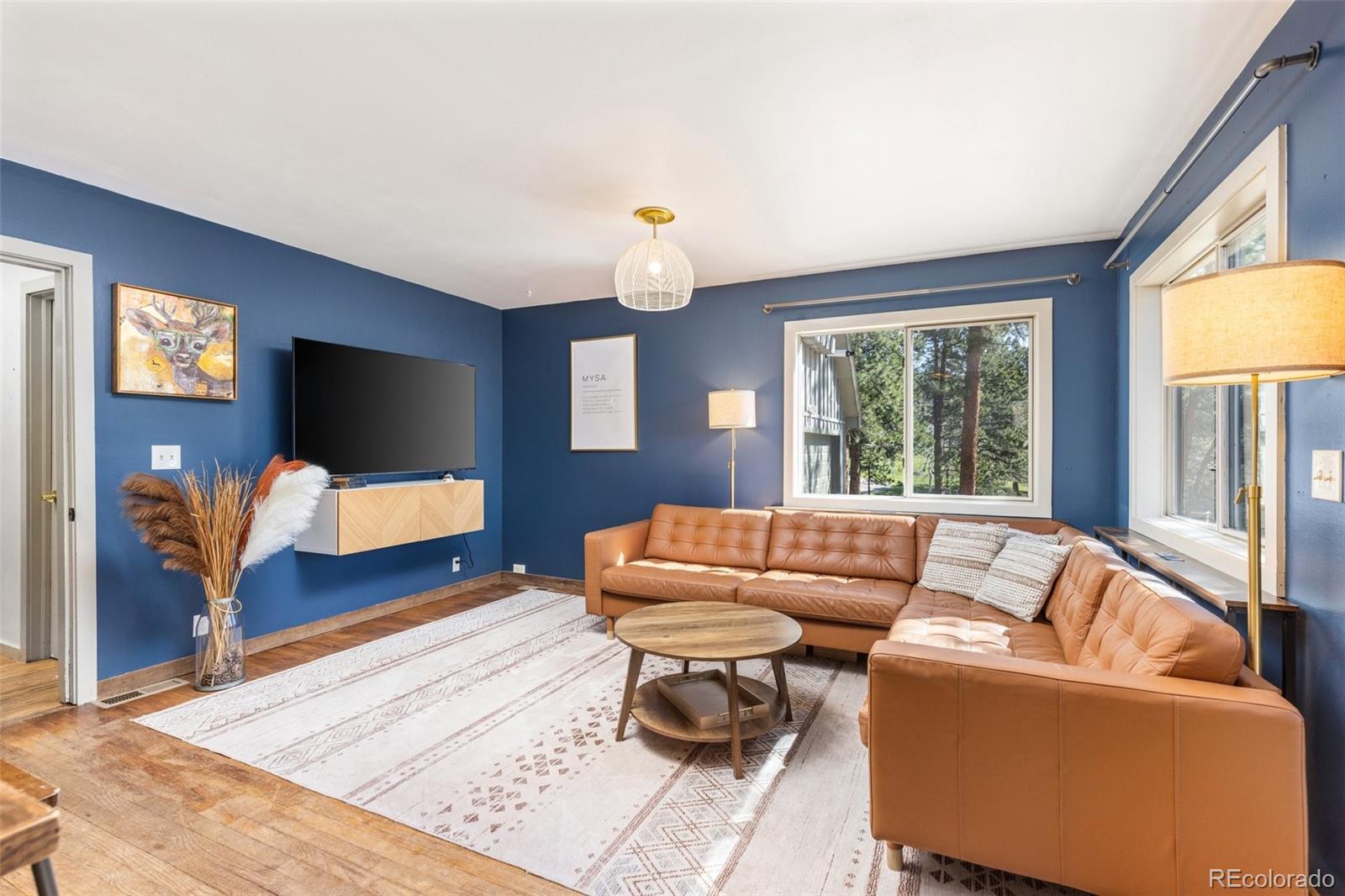 MLS Image #11 for 377  homestead road,bailey, Colorado