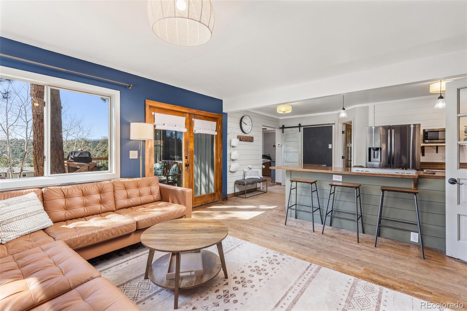 MLS Image #13 for 377  homestead road,bailey, Colorado