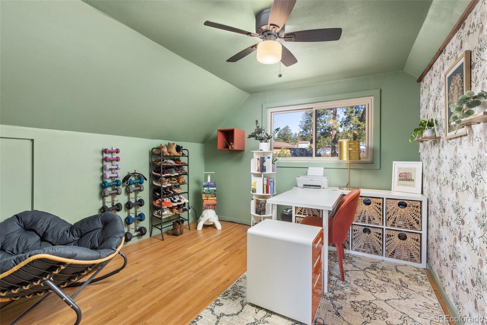 MLS Image #24 for 377  homestead road,bailey, Colorado