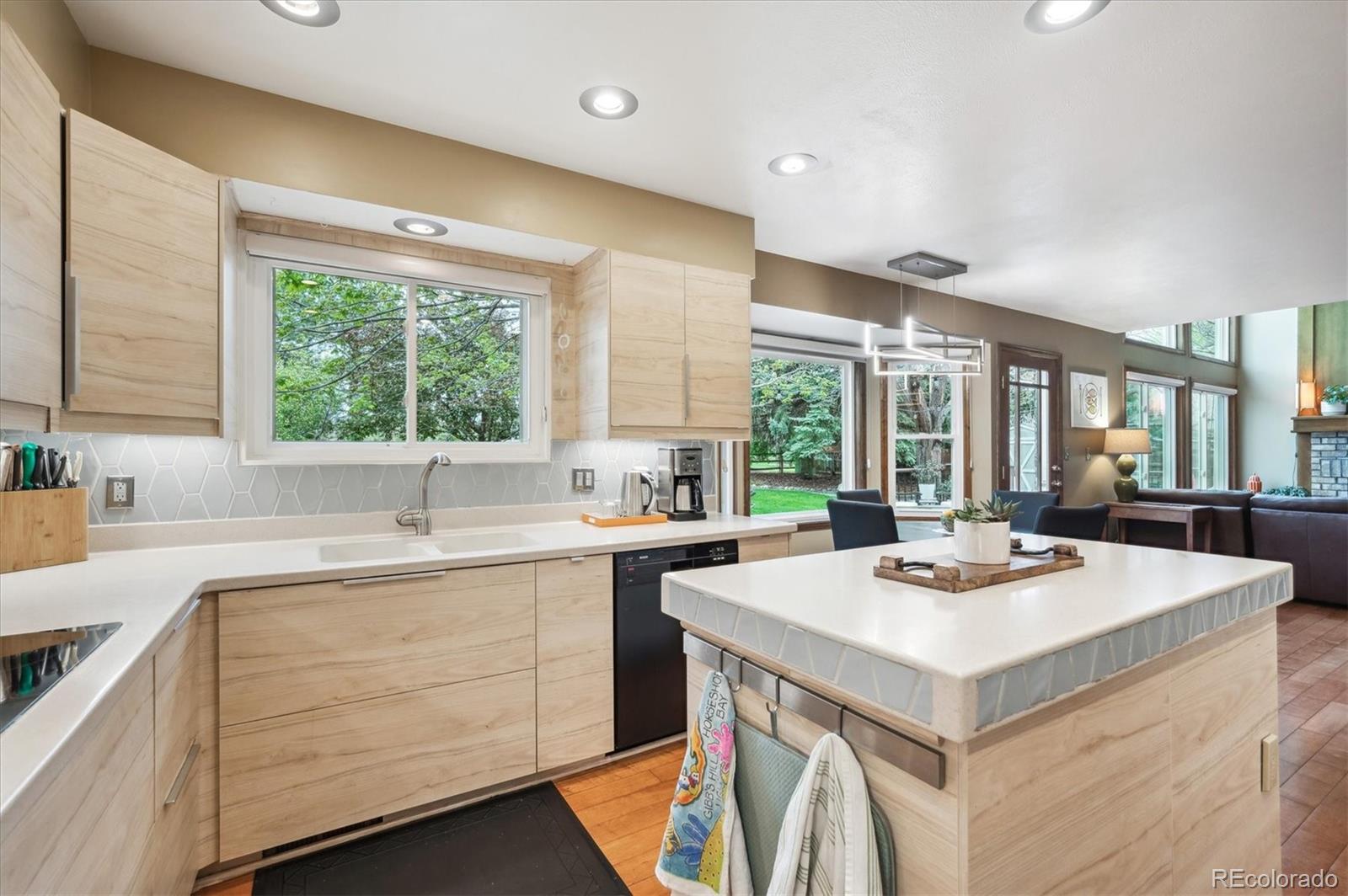 MLS Image #14 for 7954 s franklin court,centennial, Colorado