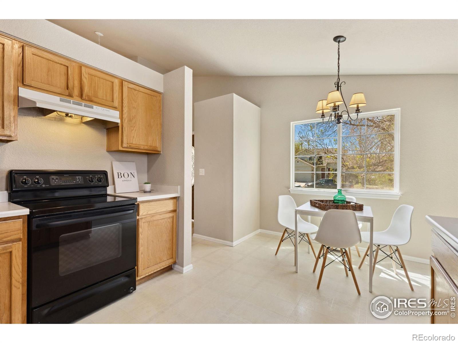 MLS Image #12 for 2354  billings lane,longmont, Colorado