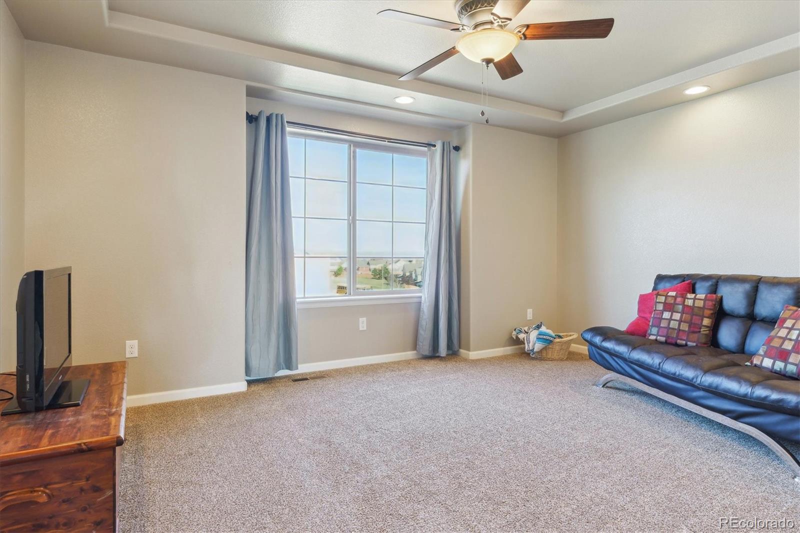 MLS Image #18 for 3727  starry night loop,castle rock, Colorado